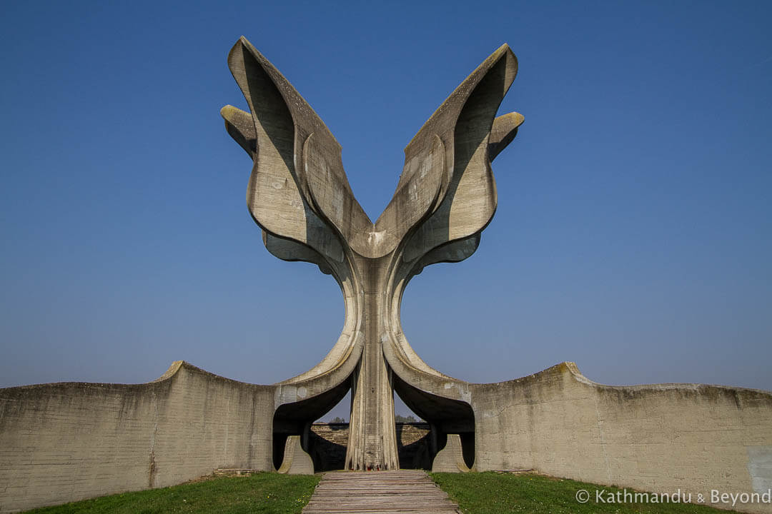 石花Jasenovac克罗地亚a-14