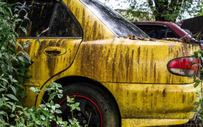 图片:废弃的汽车和其他被遗弃的交通工具