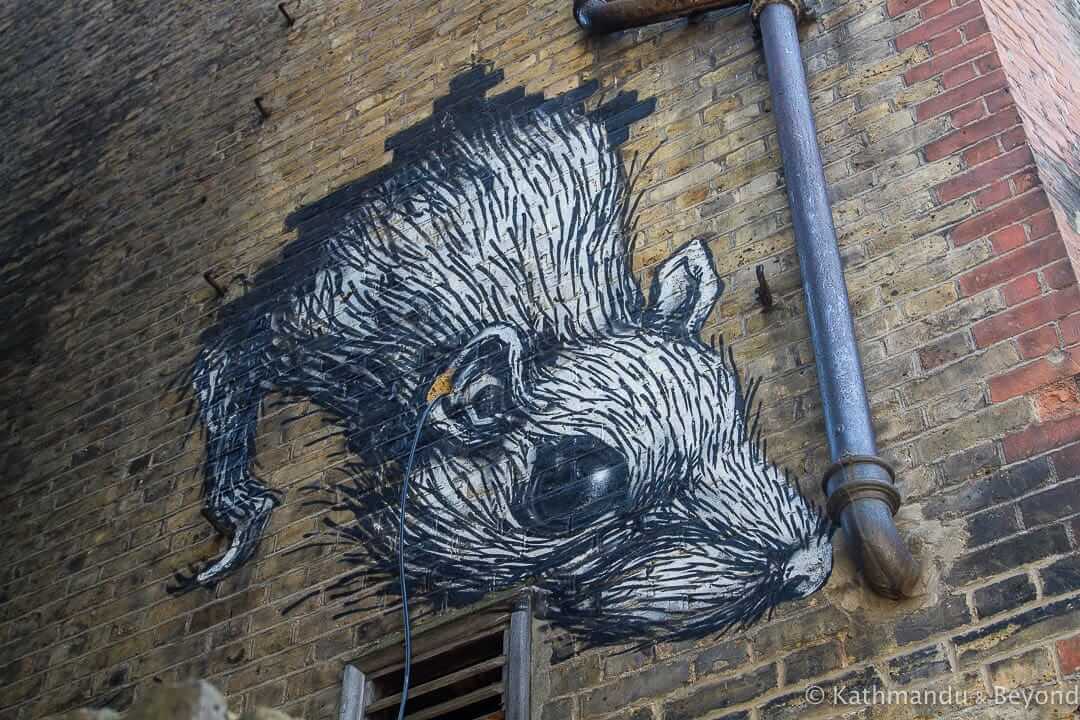 Roa街头艺术在伦敦阿尔德盖特英国伦敦9